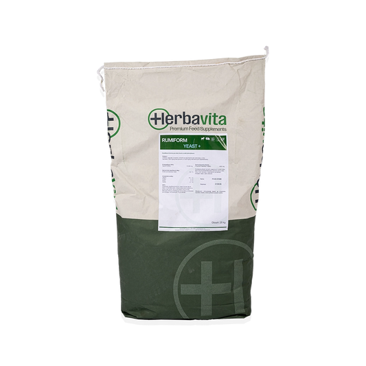 RumiForm Yeast+