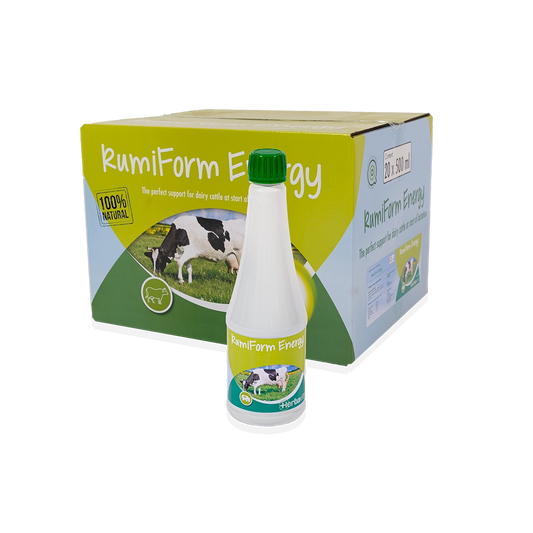 RumiForm Energy - poporodní nápoj pro dojnice proti vzniku ketóz a negativní energetické bilanci (NEB)