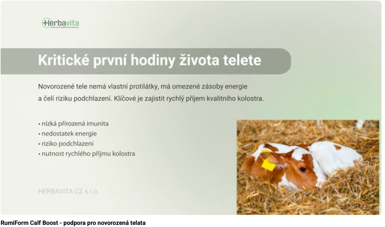 Načíst video: 